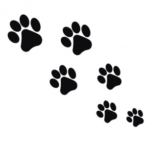 Goods for pets